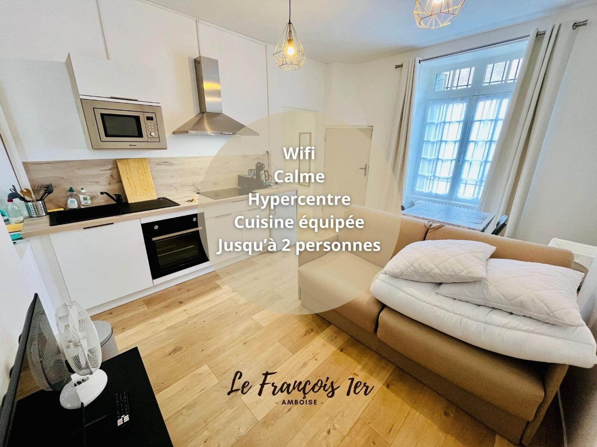 Le Francois 1Er - Studio Entre Loire Et Chateau Royal - Manoir De La Concorde Амбуаз Экстерьер фото